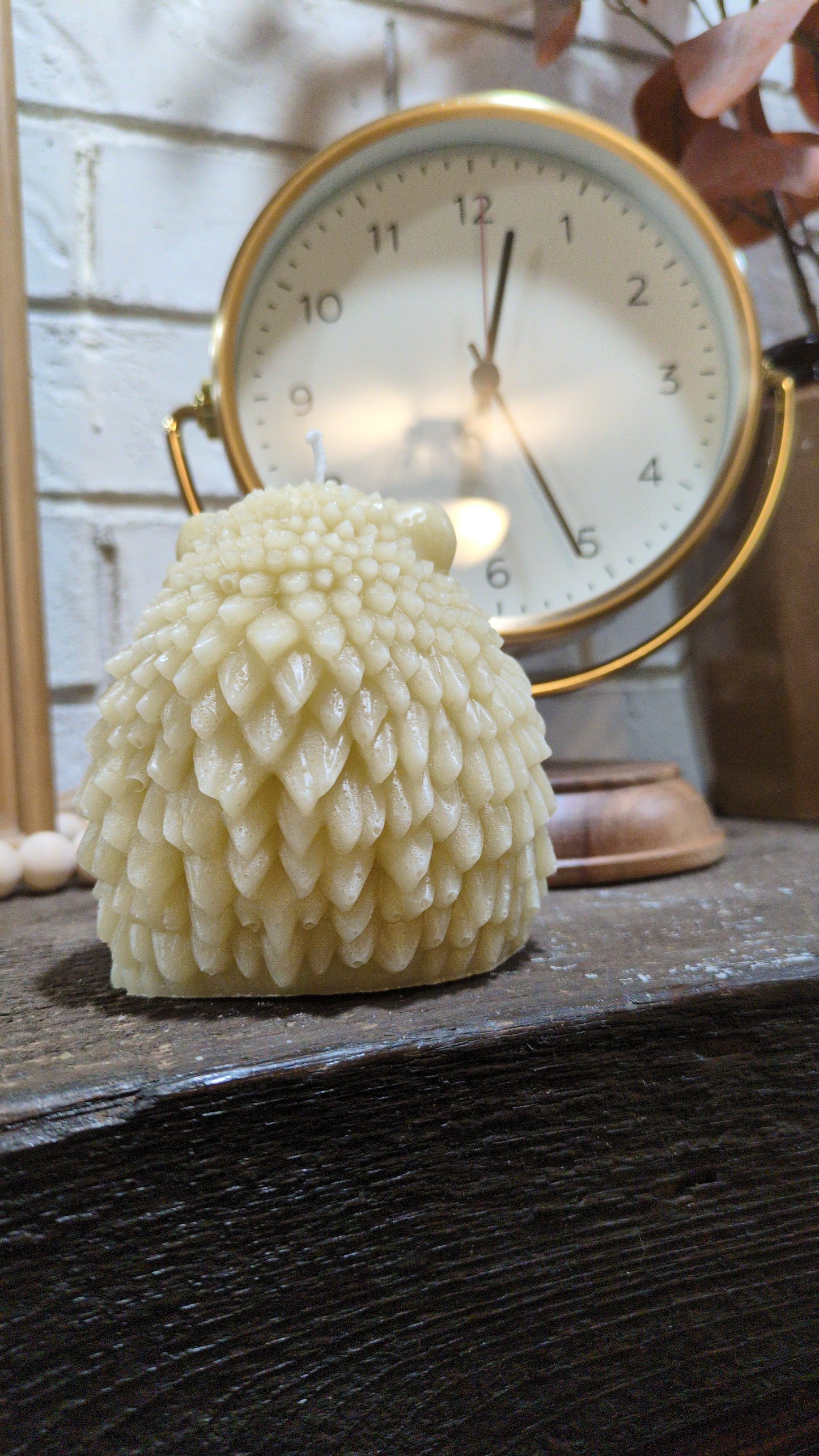 Hedgehog Candle