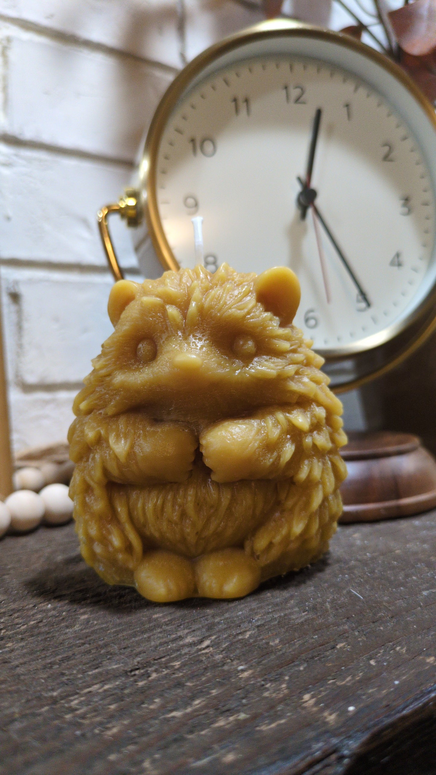 Hedgehog Candle