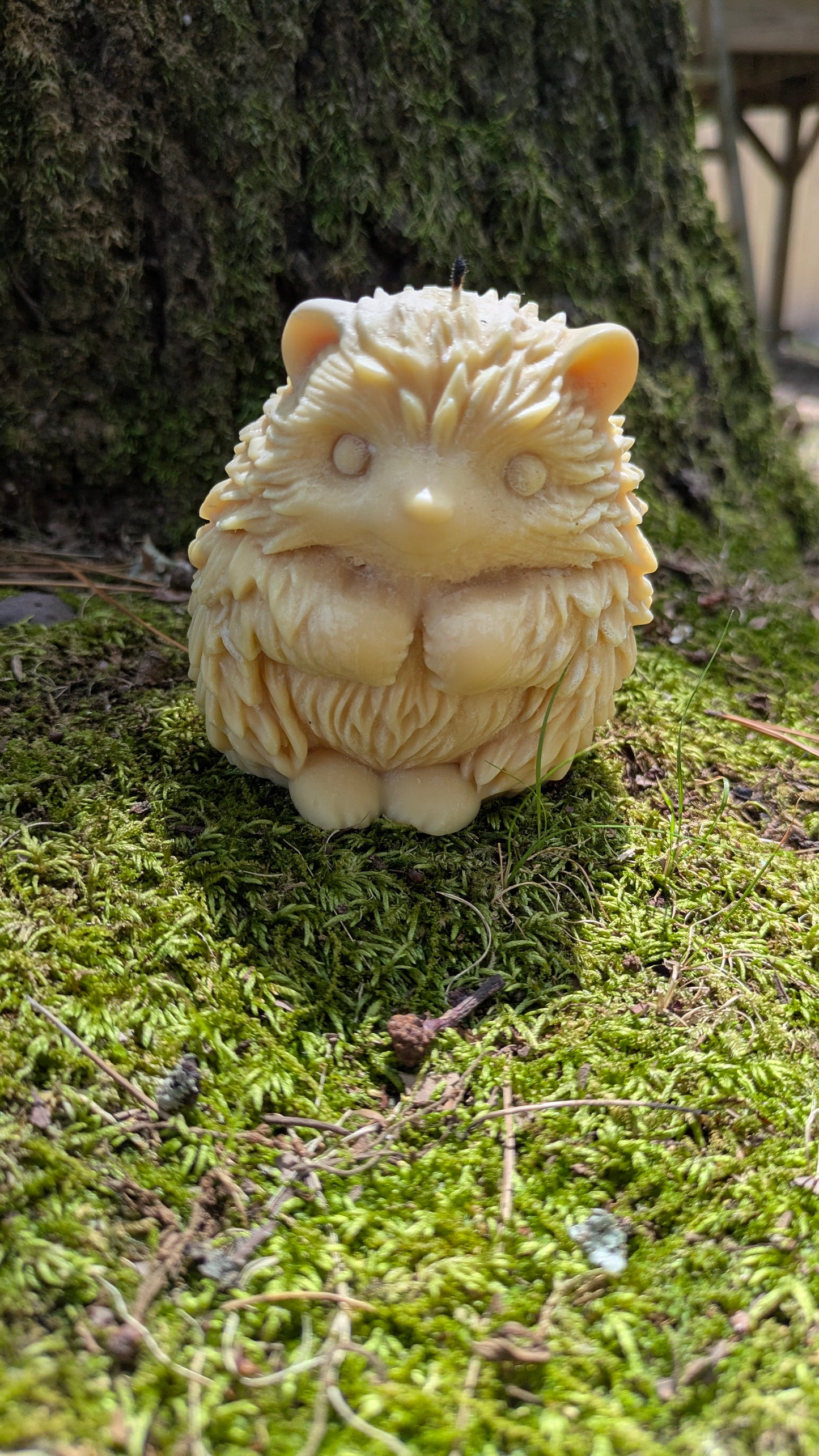 Hedgehog Candle