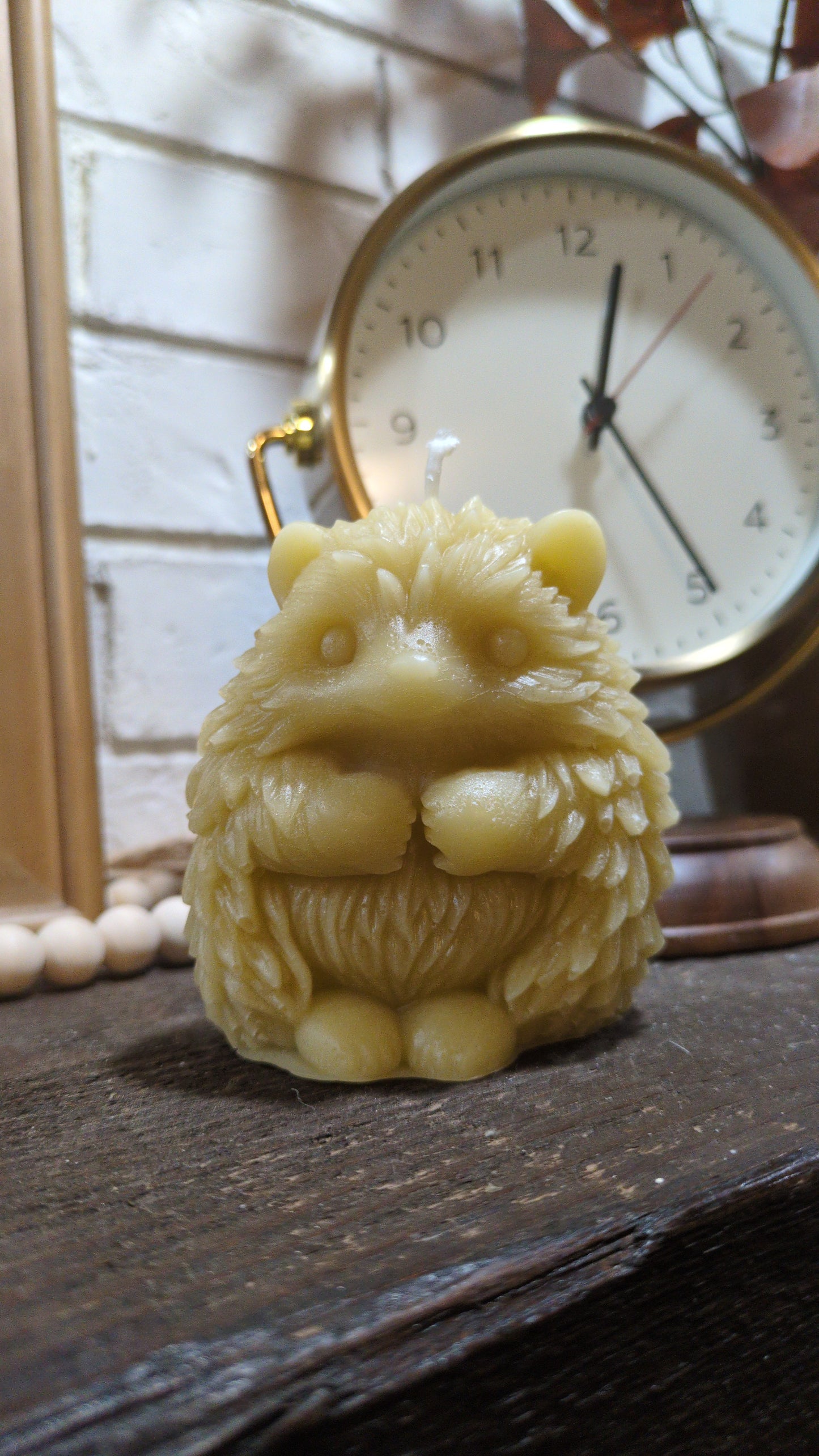 Hedgehog Candle